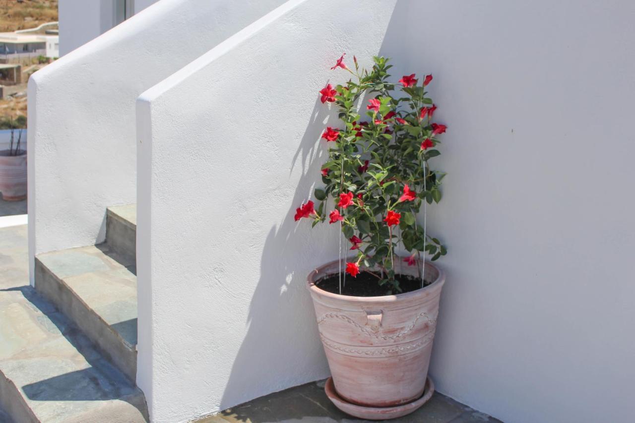 Crystal View Mykonos Aparthotel Mykonos Town Eksteriør bilde